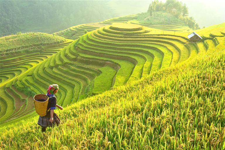 Naturschönheiten in Nordvietnam ©Chaiyaporn1144/istock